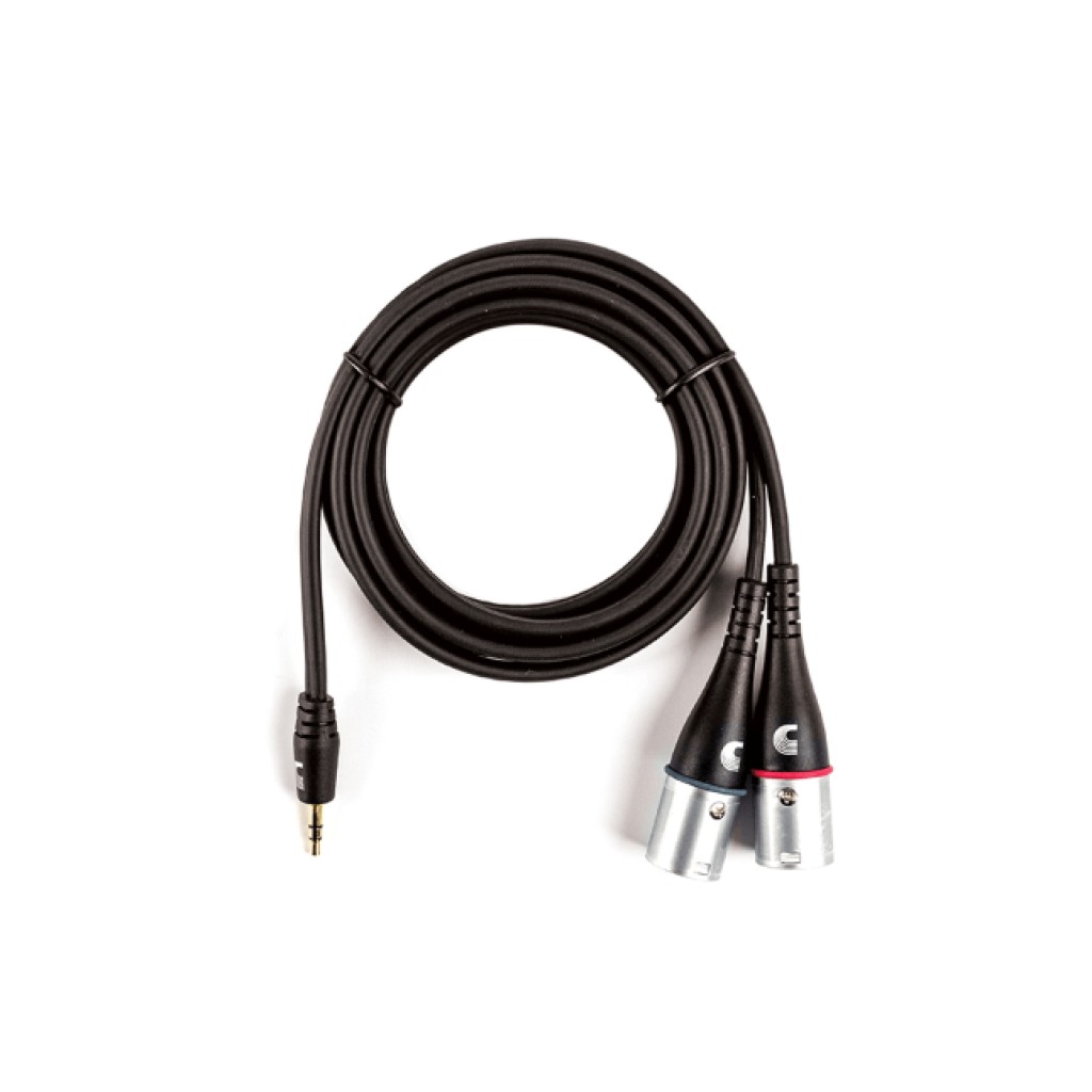 D 'Addario pw-mpxlr-06 Custom Series 1/8 to Dual XLR Audio Cable